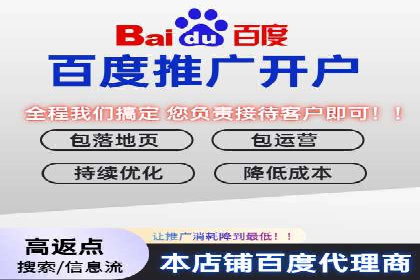 某电商企业如何通过百度竞价广告提升销售额